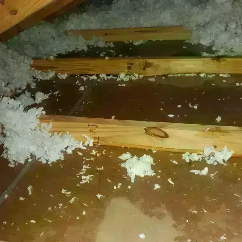 Attic Water Damage in Emerson, GA