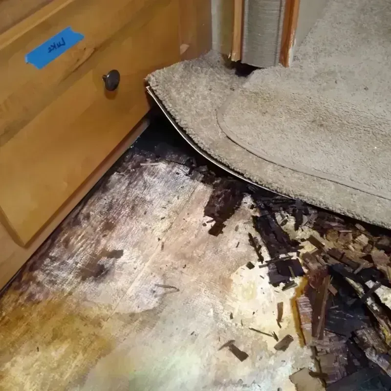 Wood Floor Water Damage in Emerson, GA